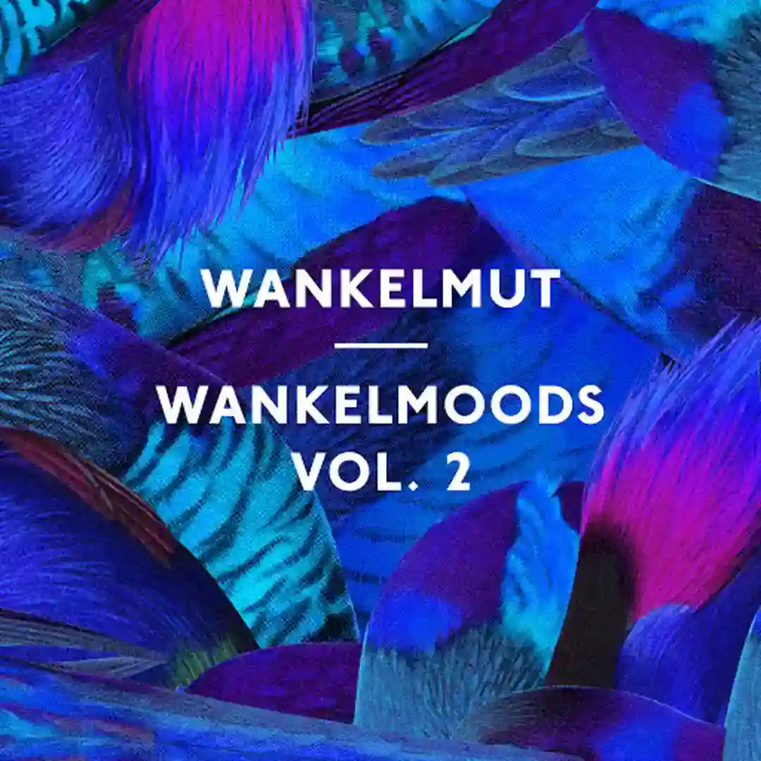 Wankelmoods, Vol. 2 cover