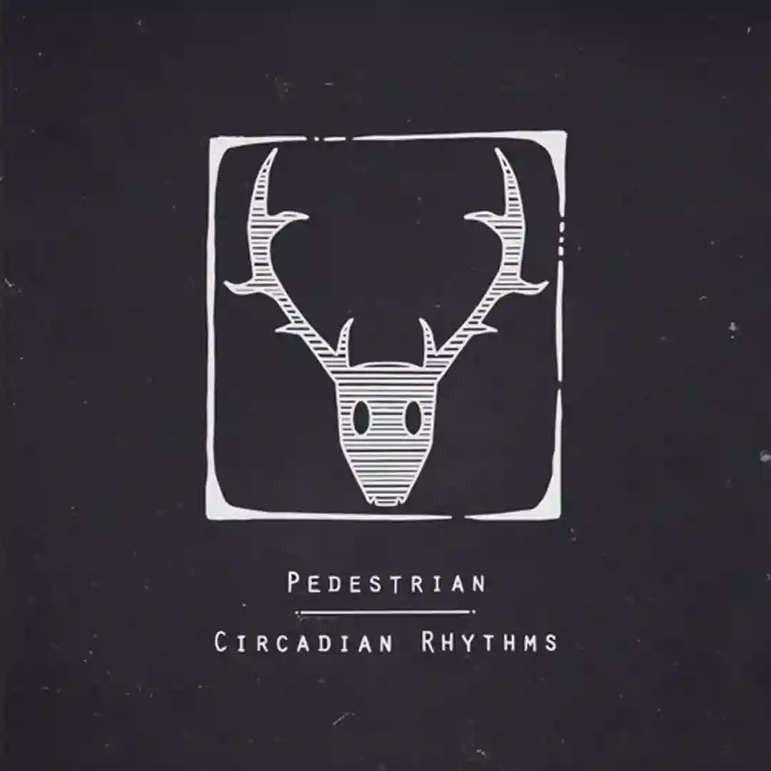 Circadian Rhythms cover