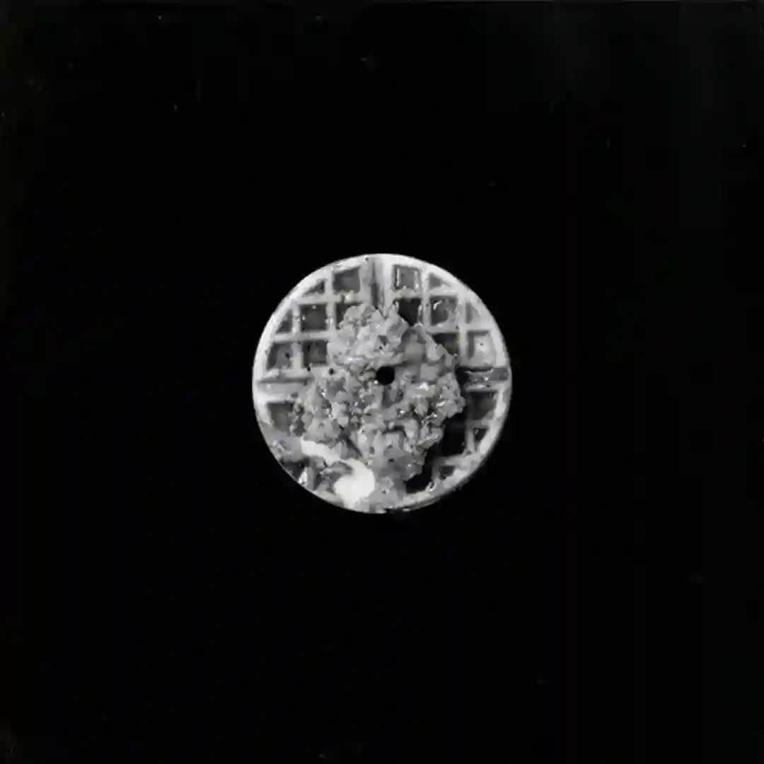 381 cover