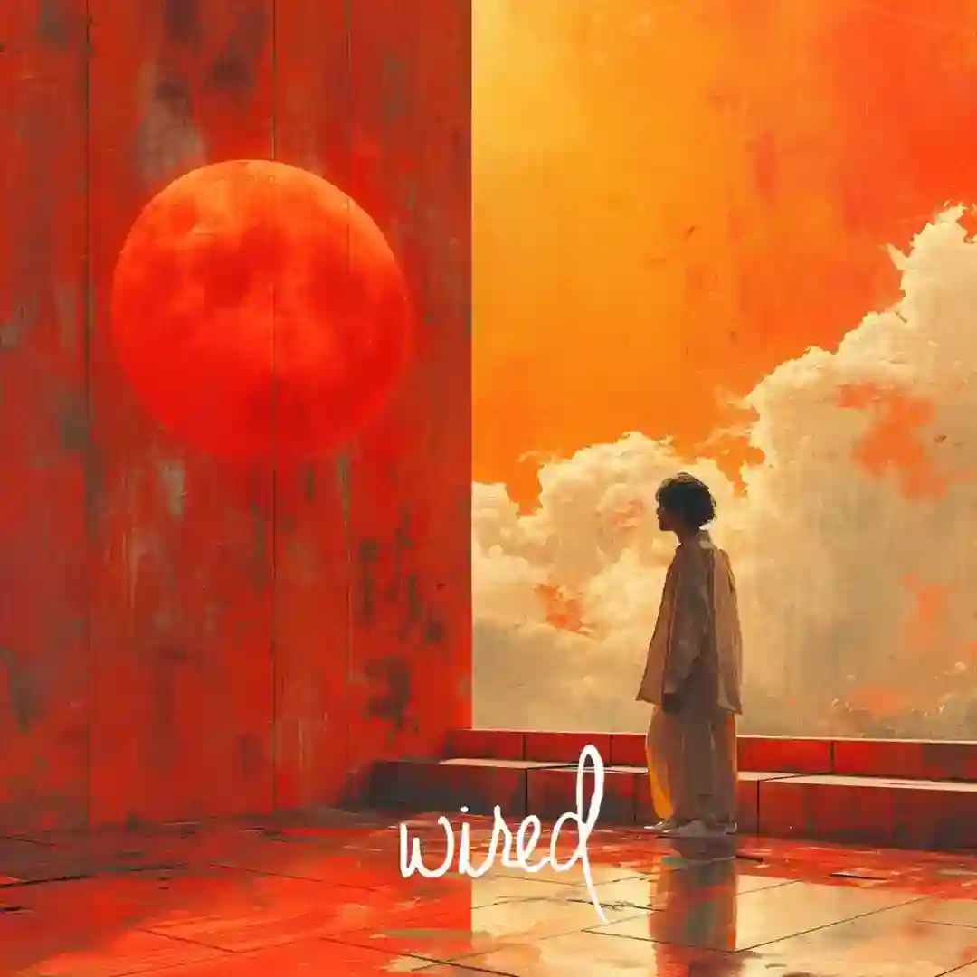 Koumani Wone feat. Bo Diaw (Original Mix) cover