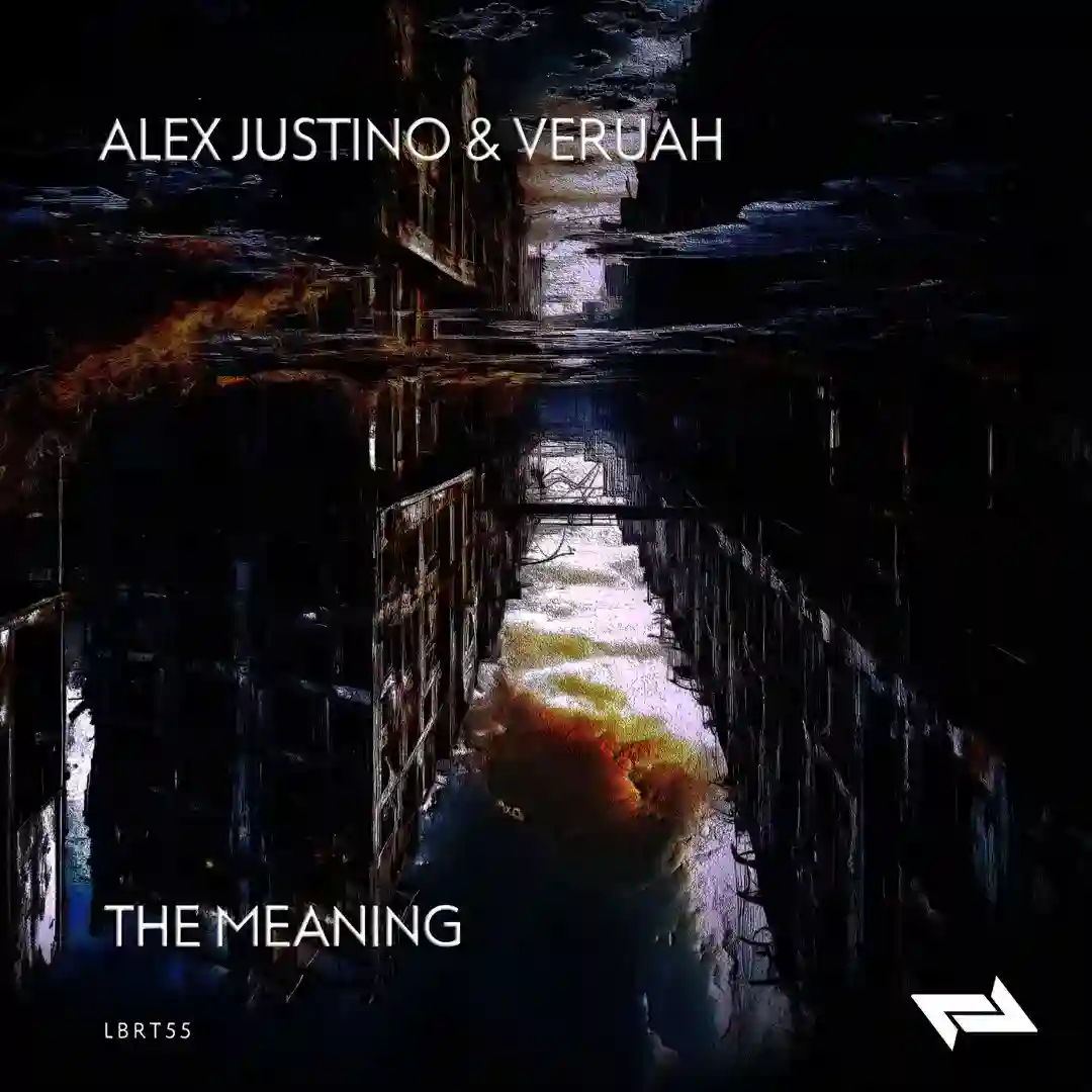 The Meaning cover