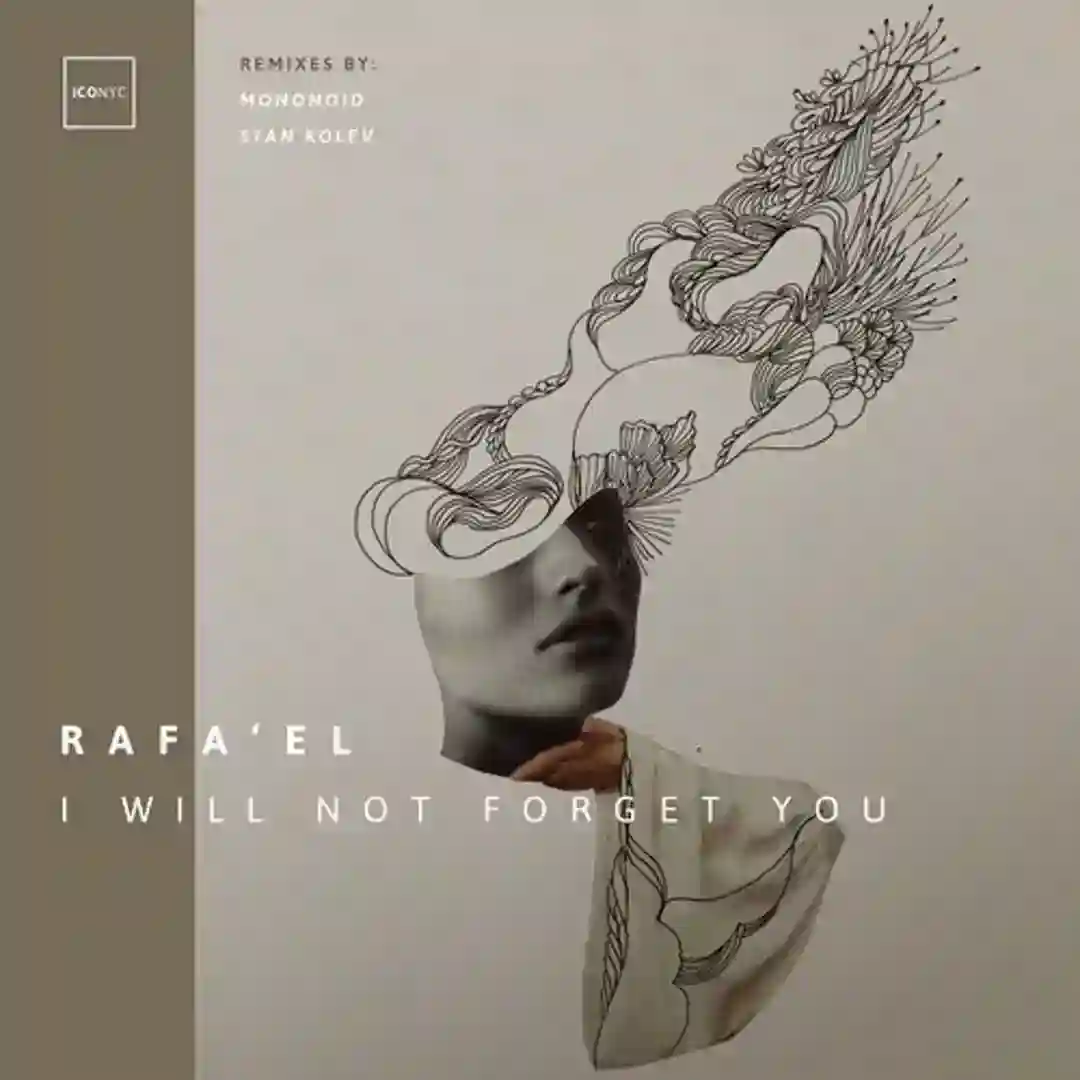 I Will Not Forget You cover