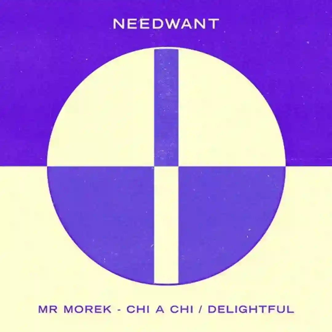 Delightful (Original Mix) cover