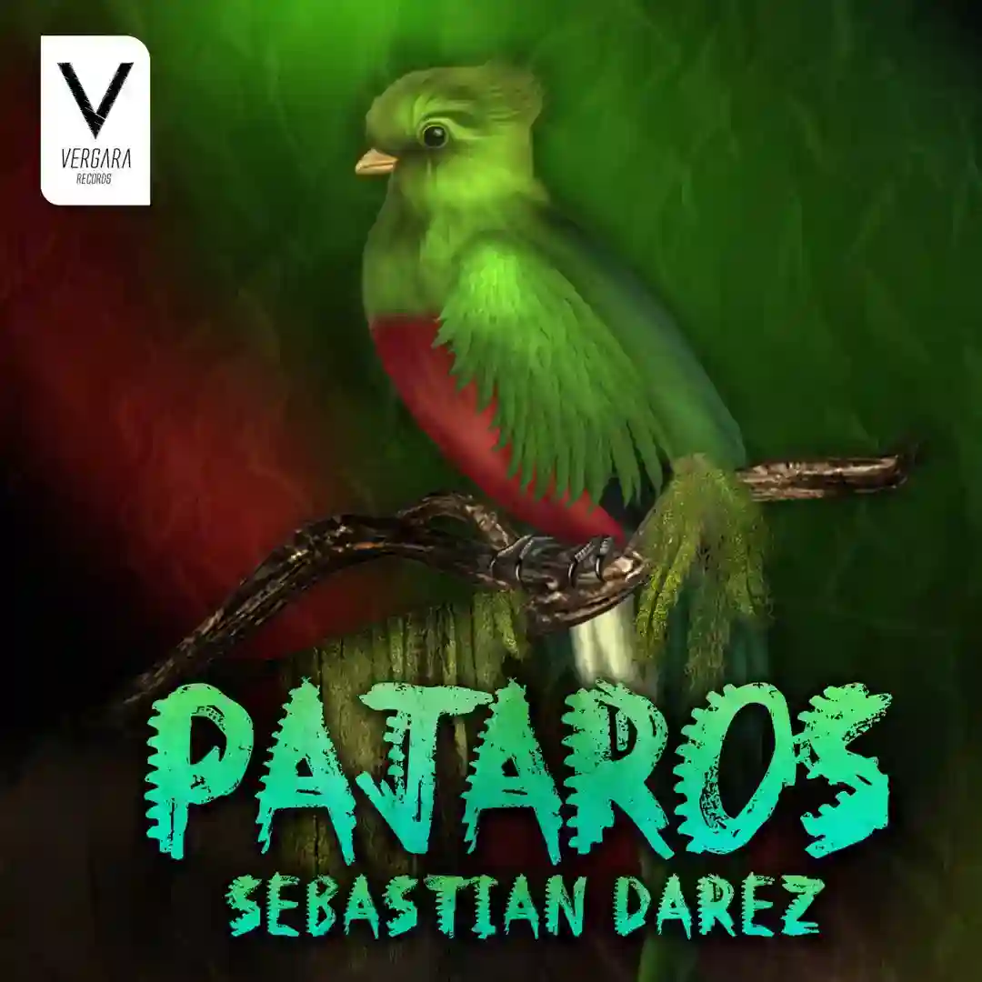 Pajaros cover