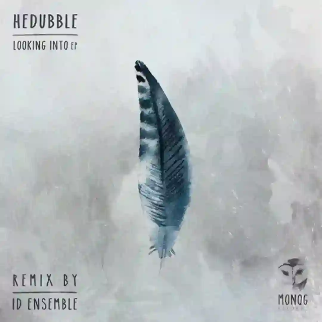 Looking Into (Original Mix)-electrobuzz.net cover