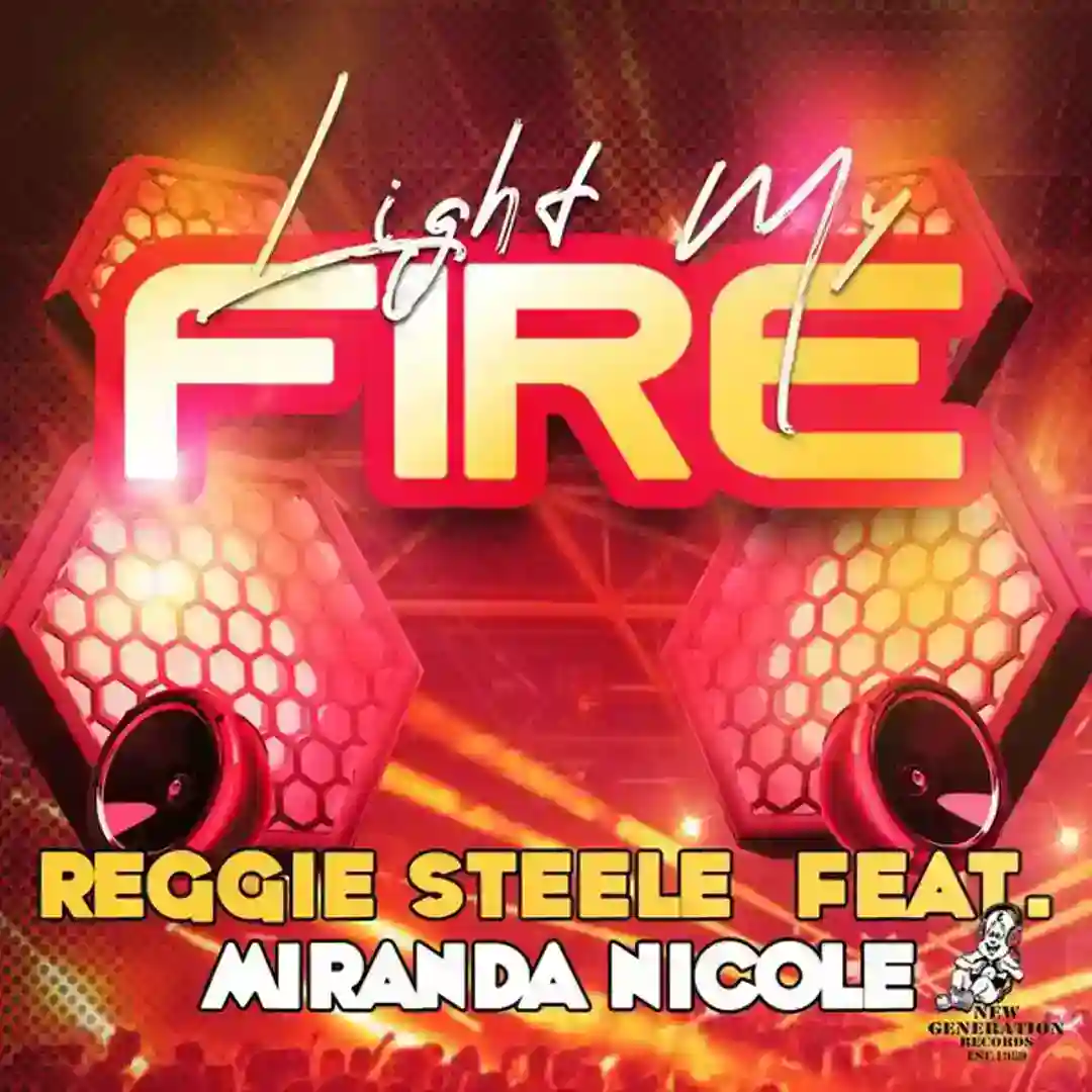 Light My Fire (Reggie Steele's Original Mix) cover