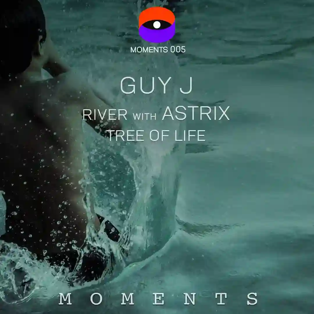 River (Original Mix) cover