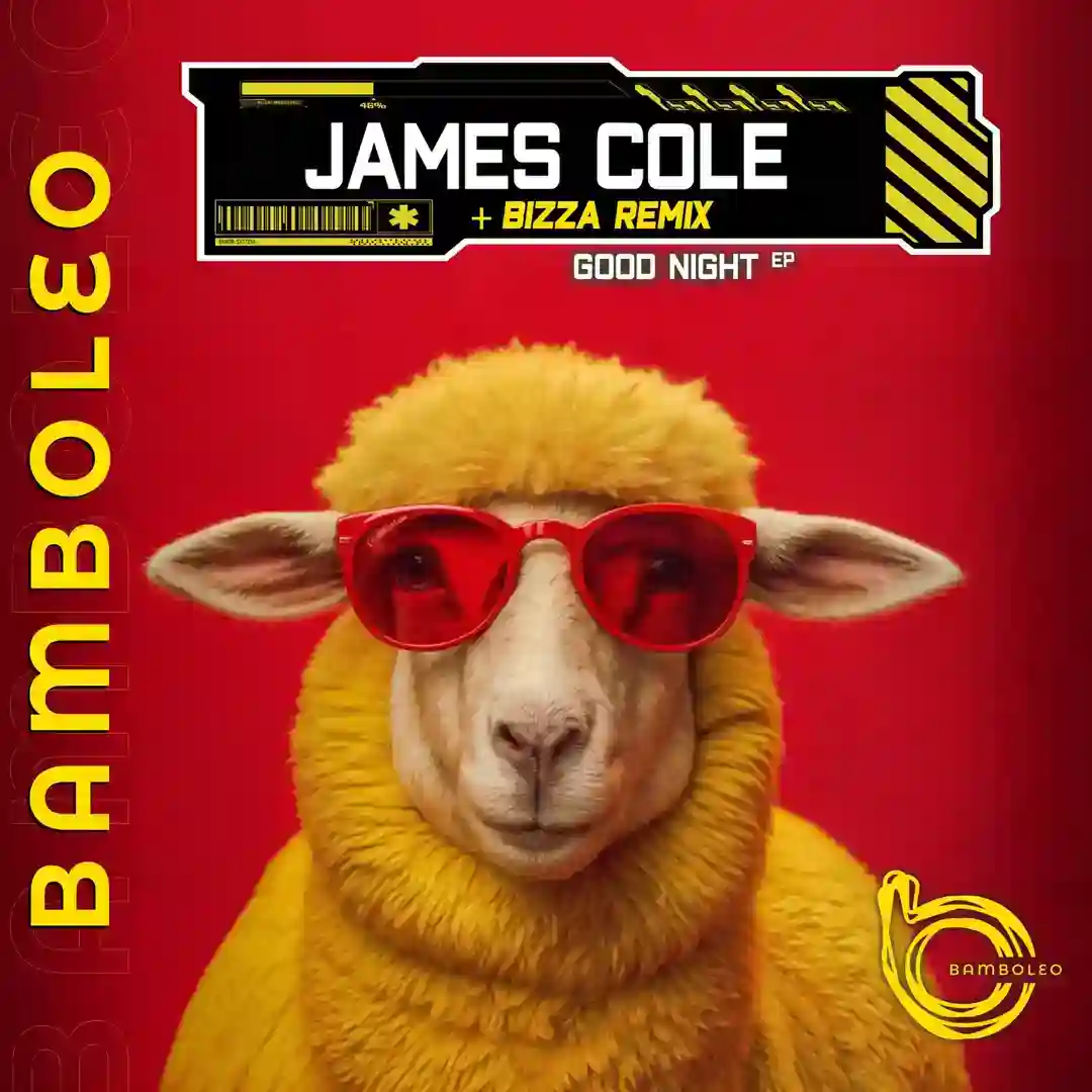Shake Your Body (Original Mix) cover
