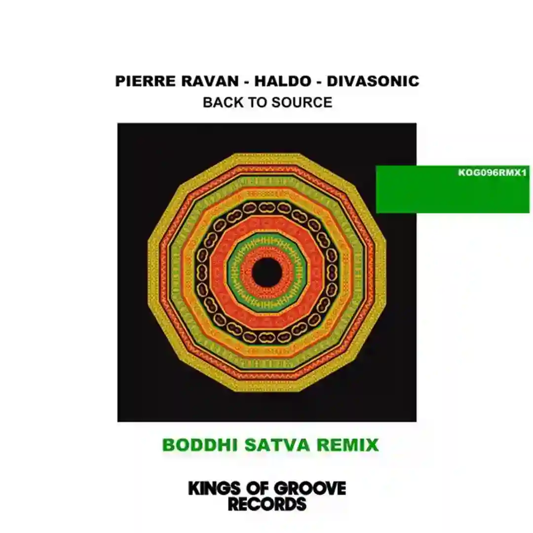 Back To Source (Boddhi Satva Ancestrumental Mix) cover