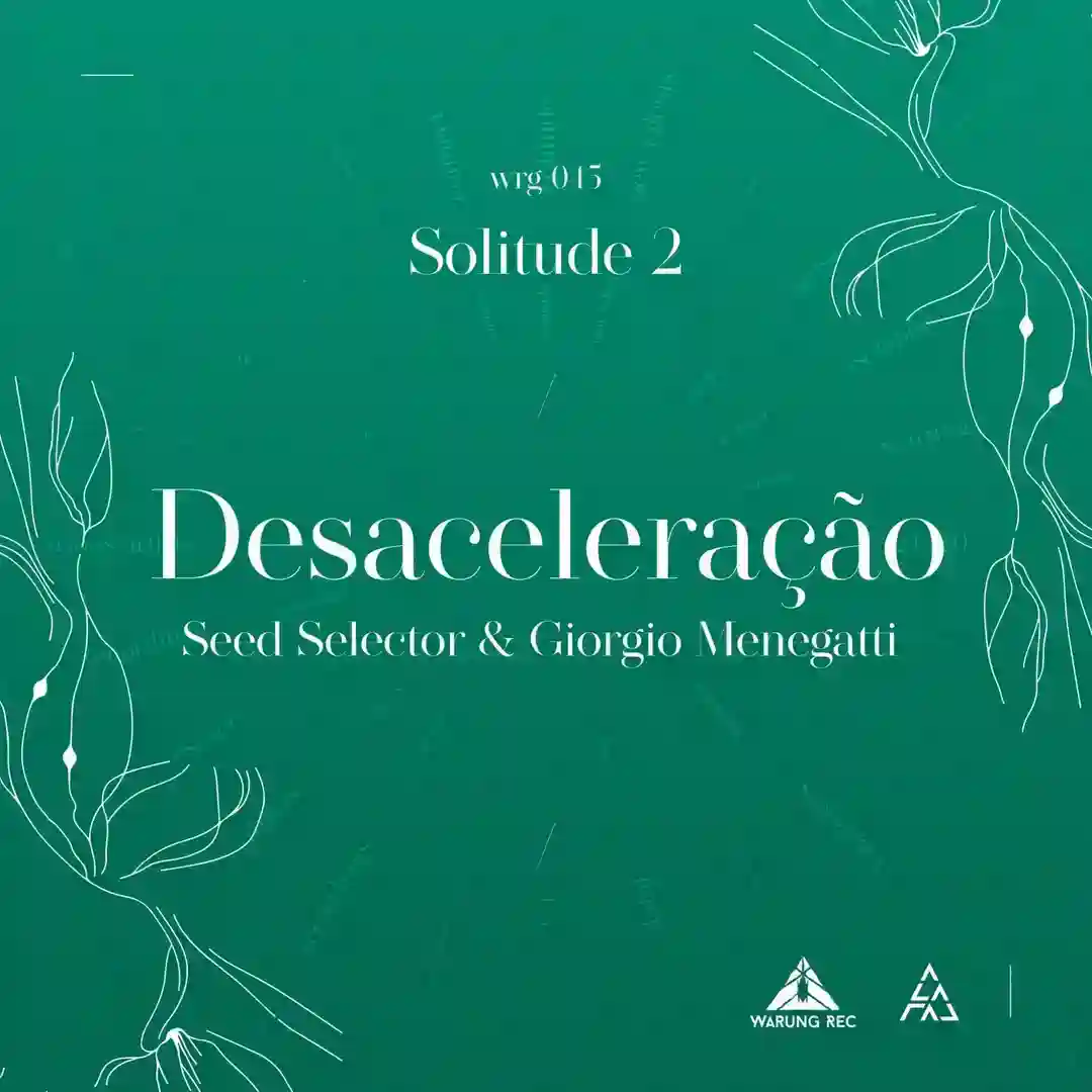 Desaceleração cover
