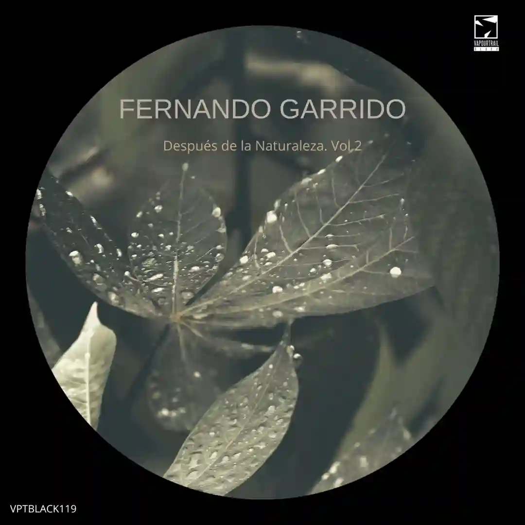 Tipo (Original Mix) cover