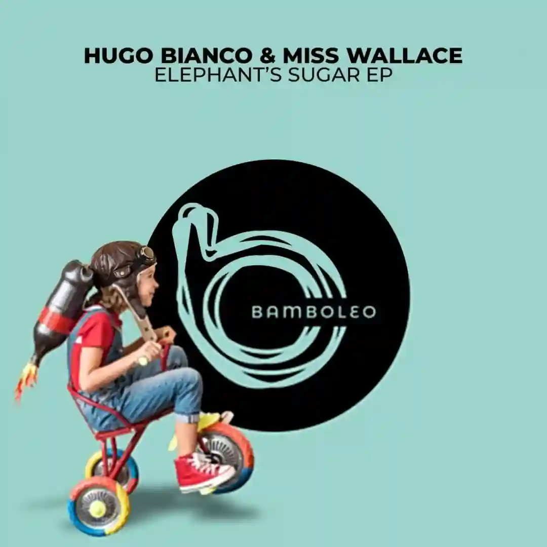 Elephants (Original Mix) cover