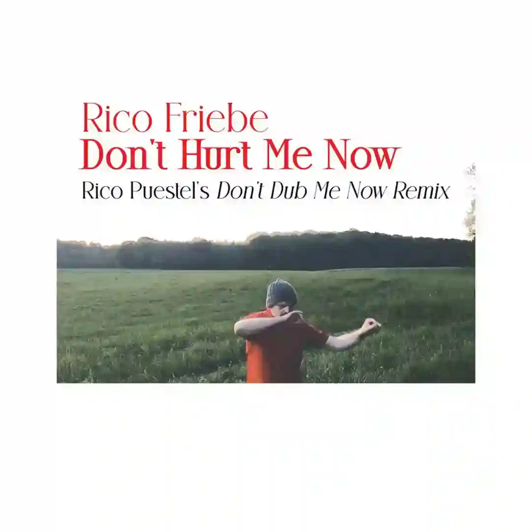 Don't Hurt Me Now (Rico Puestel's Don't Dub Me Now Remix) cover