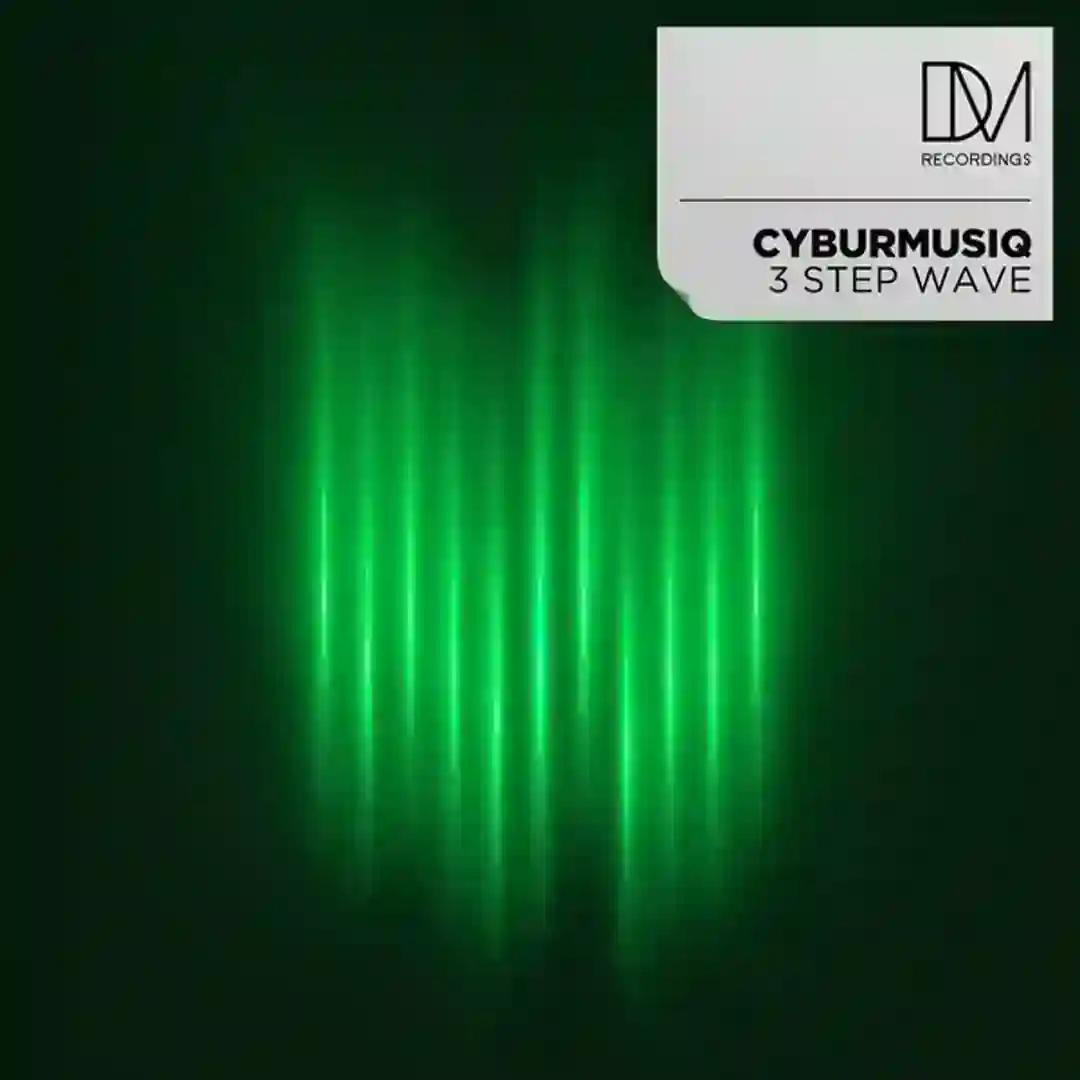 3 Step Wave (Original Mix) cover
