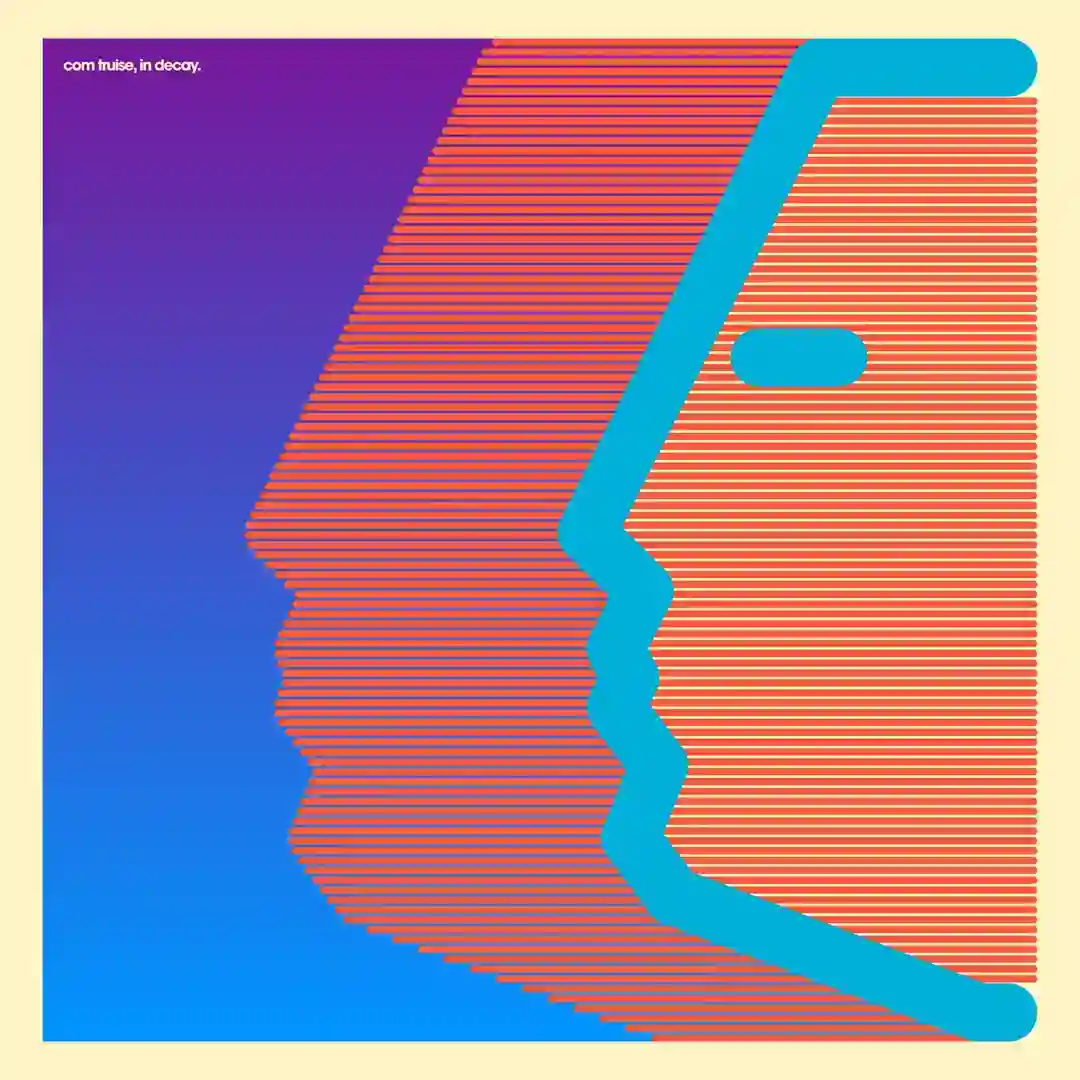 In Decay cover