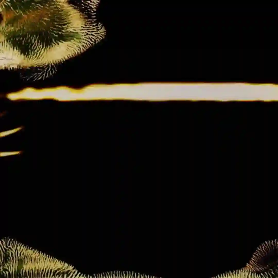Second Encounter (Original Mix) cover
