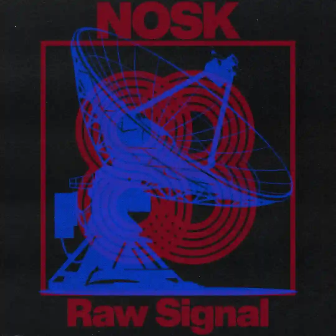 Raw Signal (Original Mix) cover