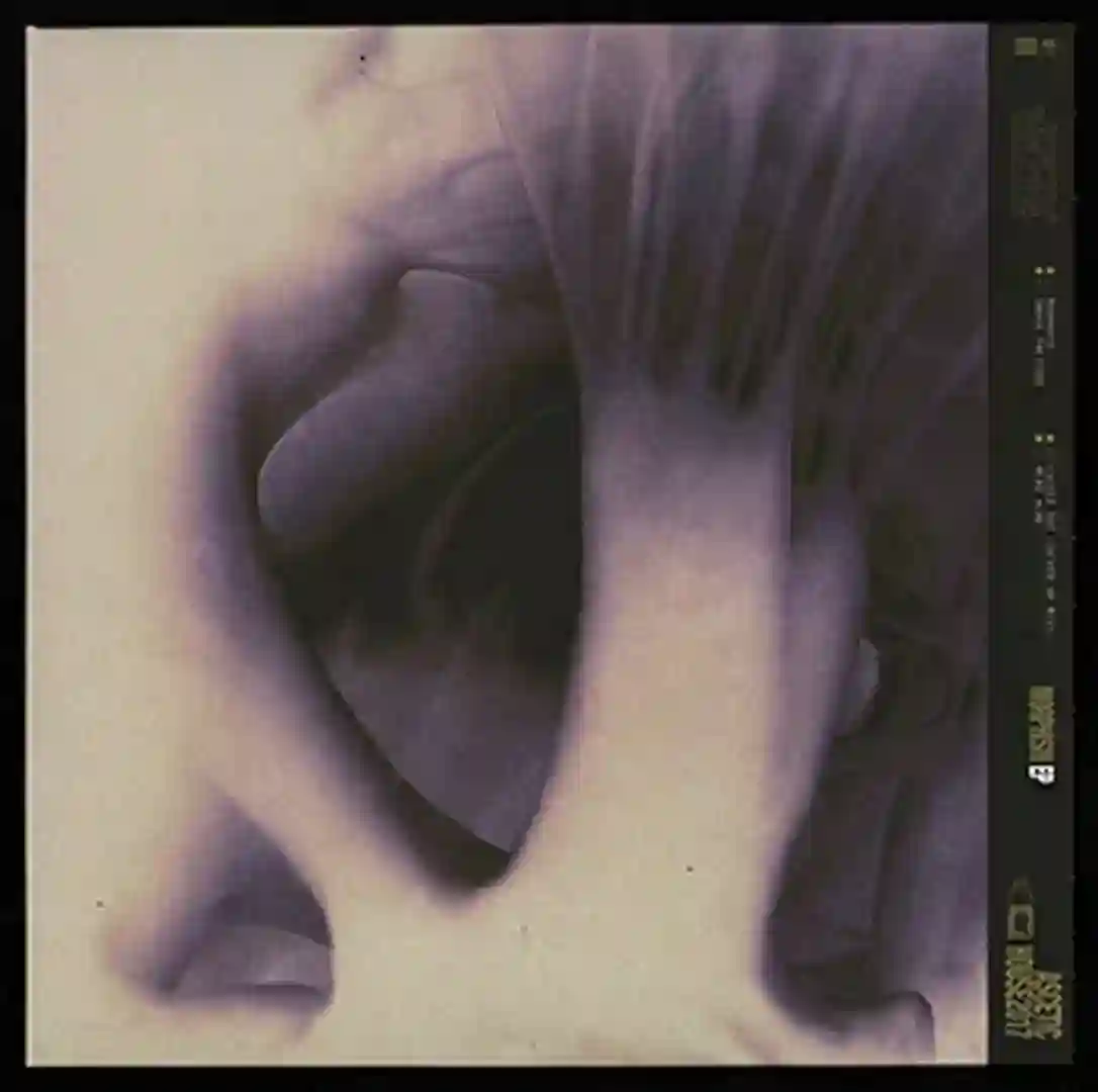 Morphose cover