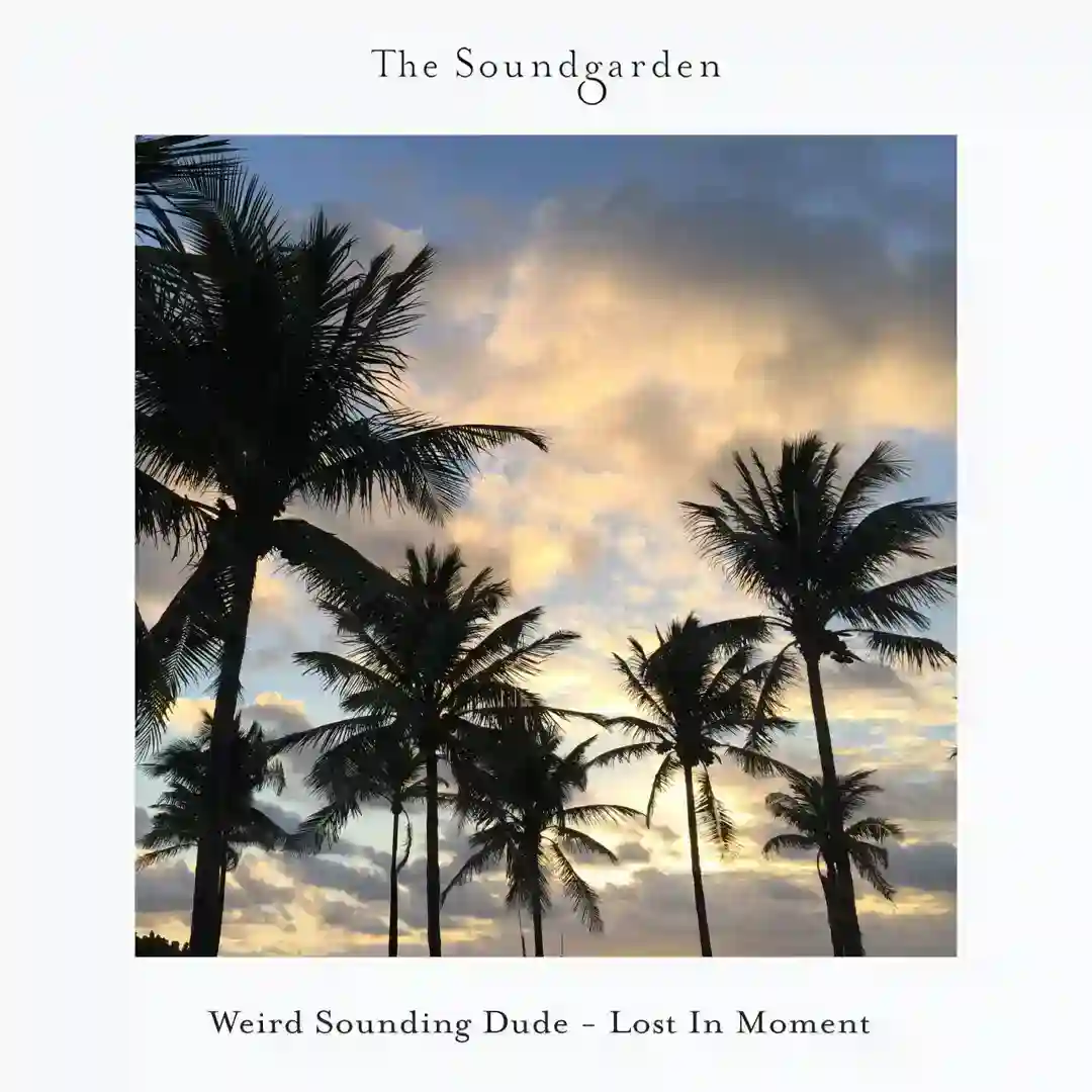 Lost In Moment cover