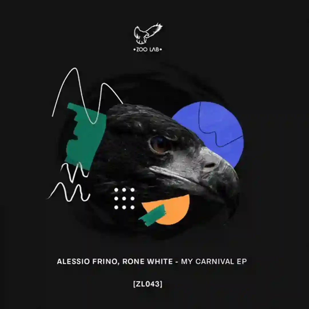 My Carnival (Original Mix) cover