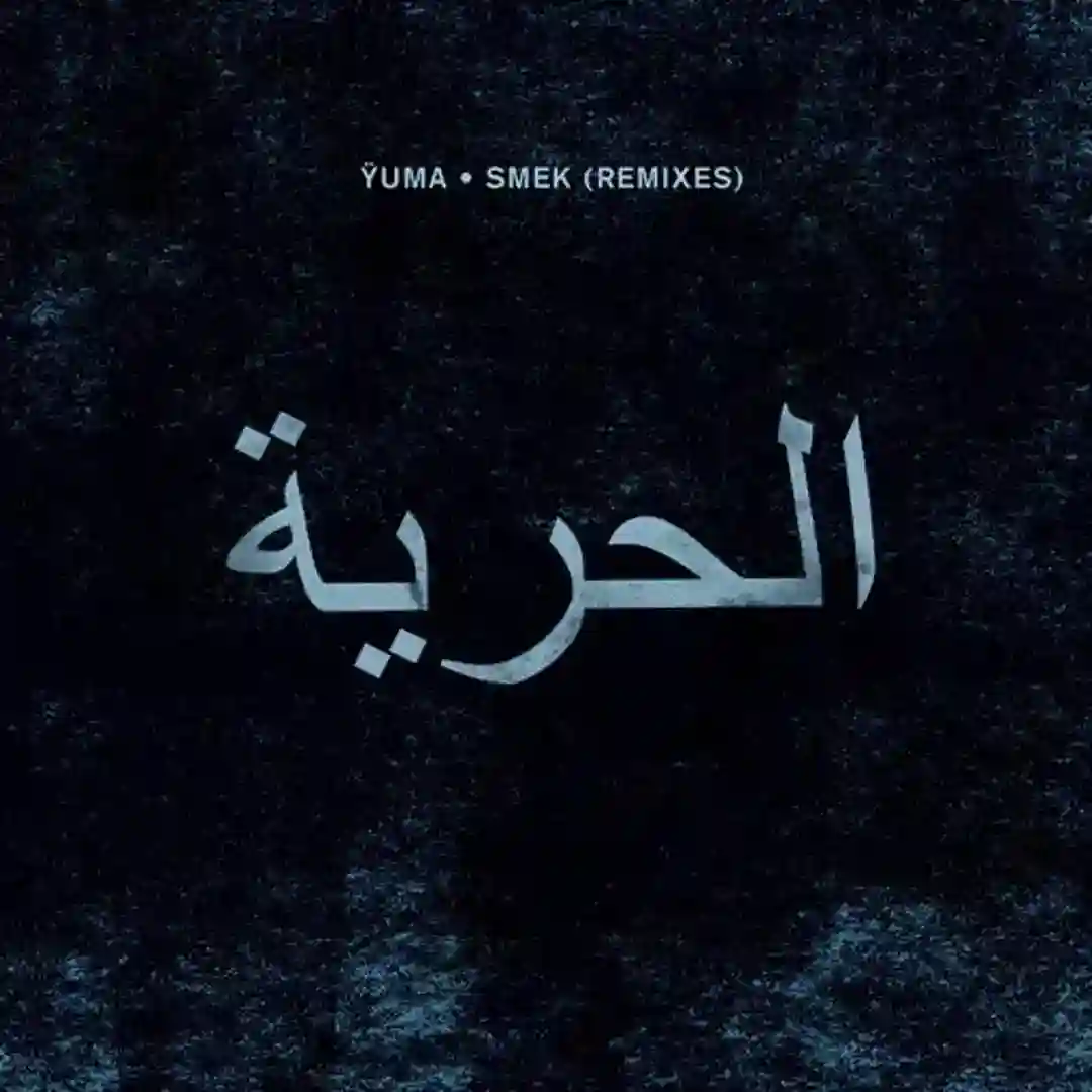 Smek (SIS Remix) cover