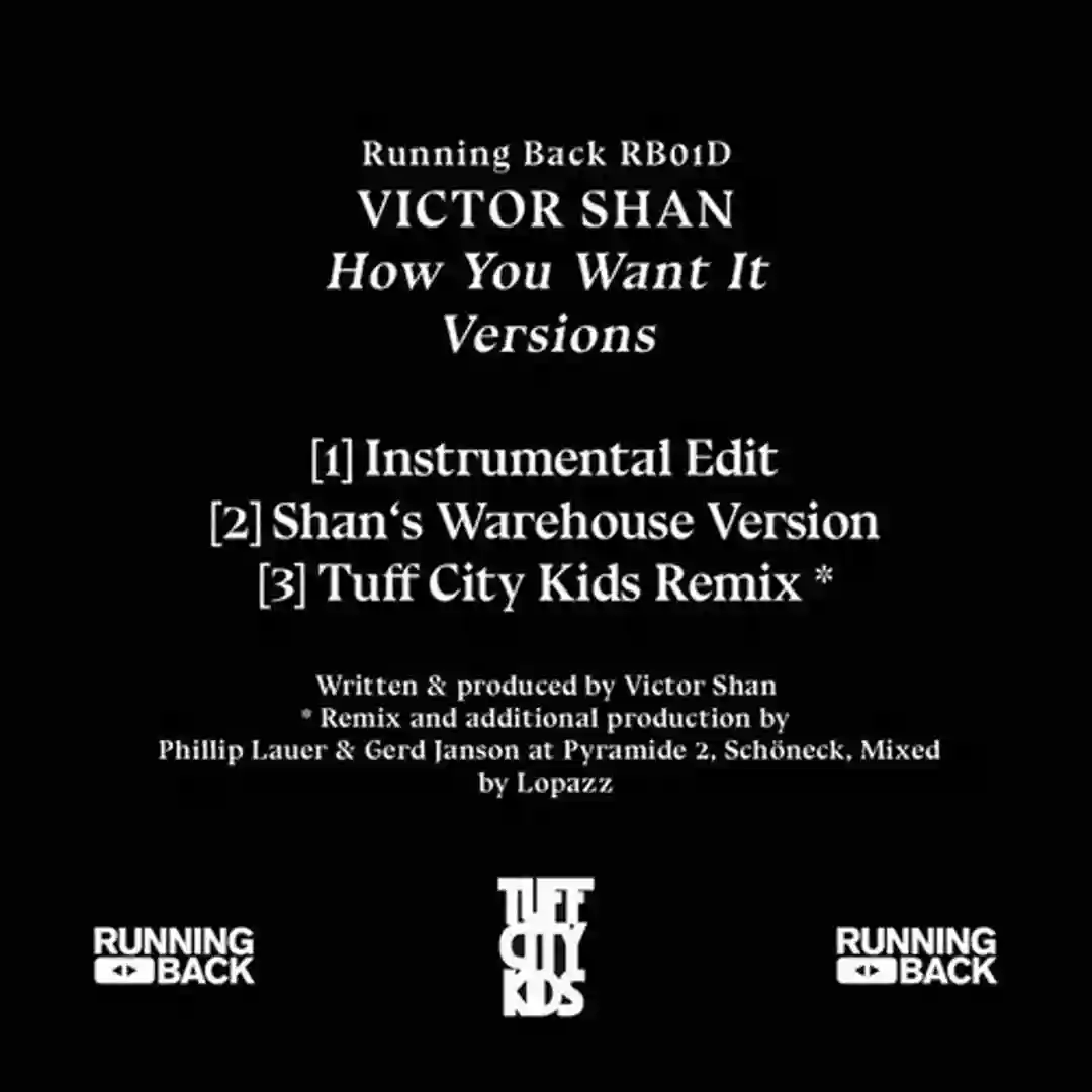 How You Want It (Shan's Warehouse Version) cover