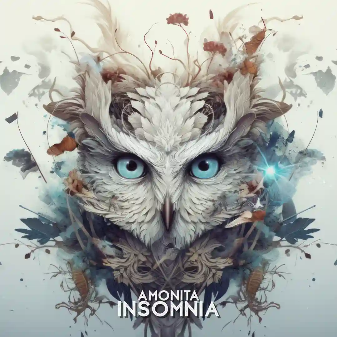 Insomnia (Extended Mix) cover