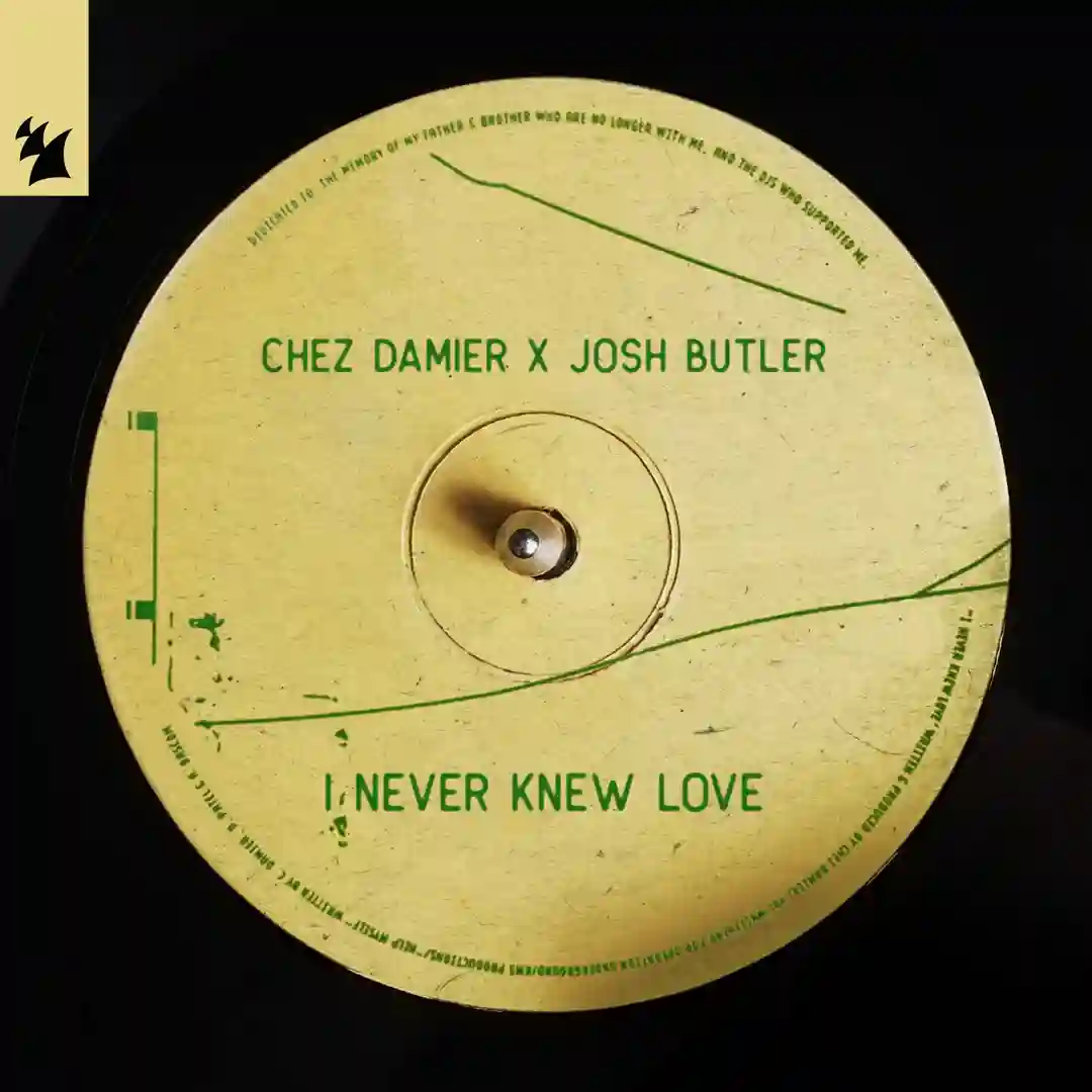 I Never Knew Love (Extended Mix) cover