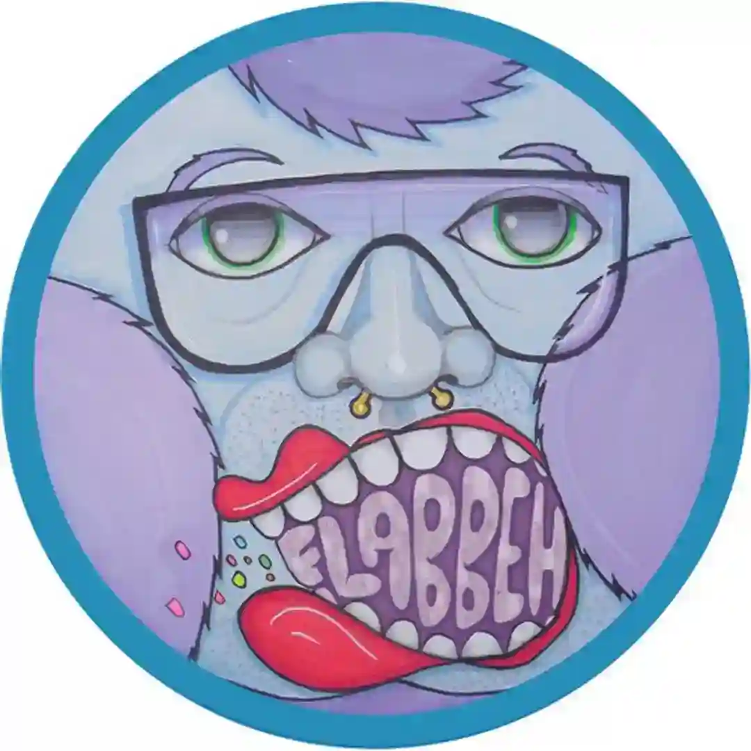 Not Too Flabbeh (Original Mix) cover