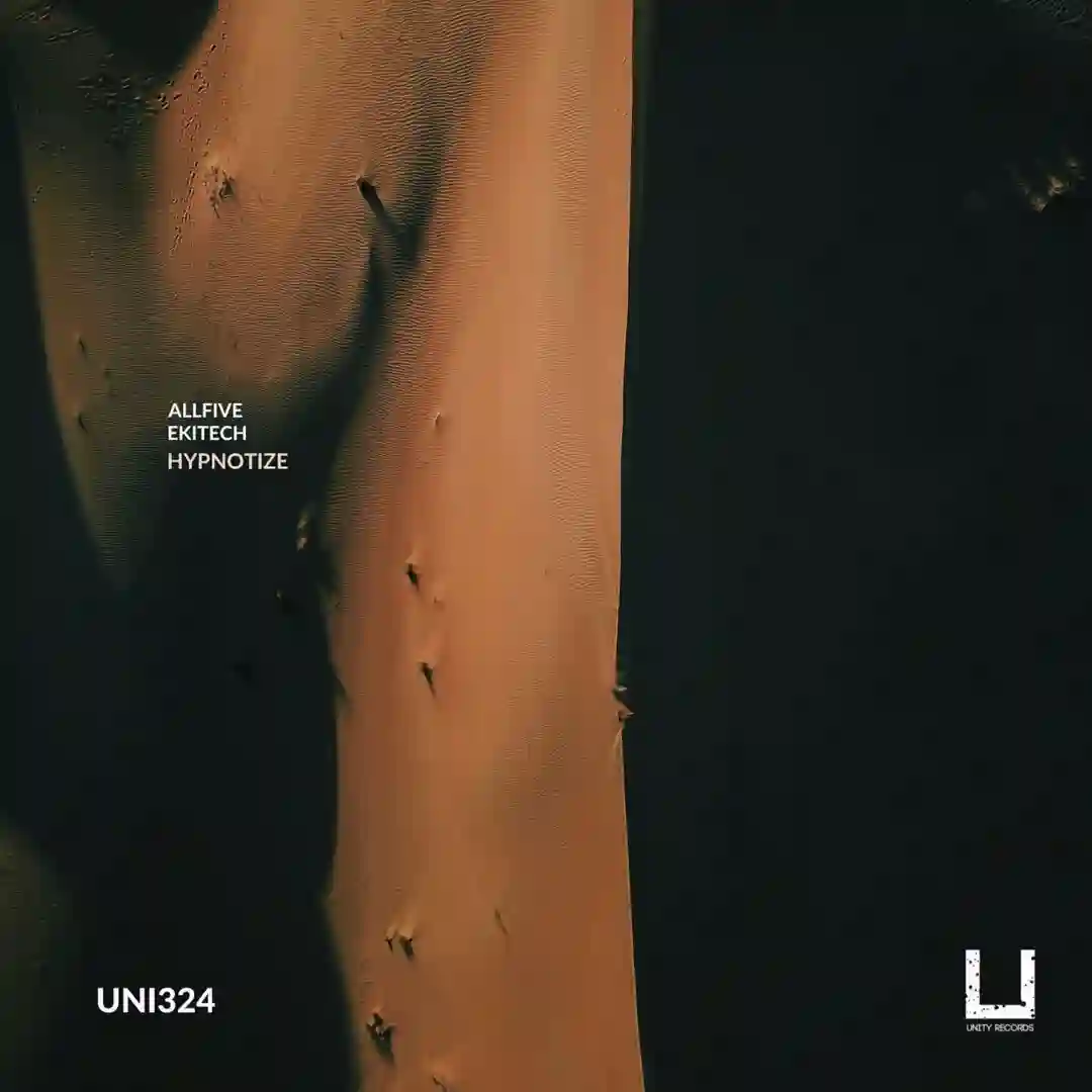 Hypnotize (Original Mix) cover
