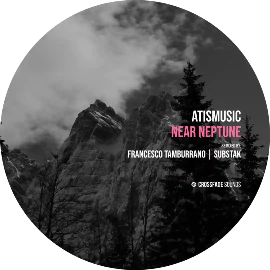 Anormal Vectors (Original Mix) cover