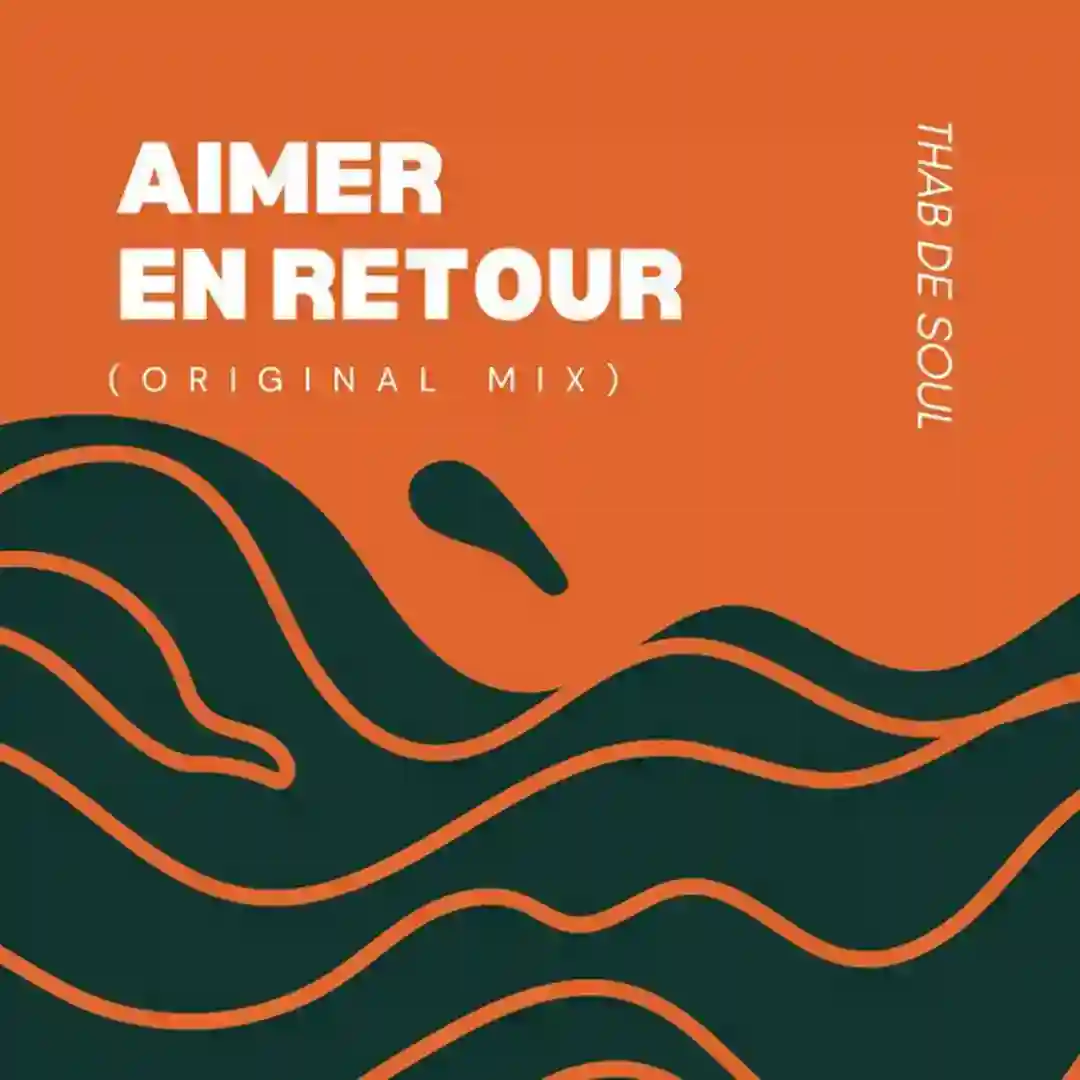 Aimer En Retour (Original Mix) cover