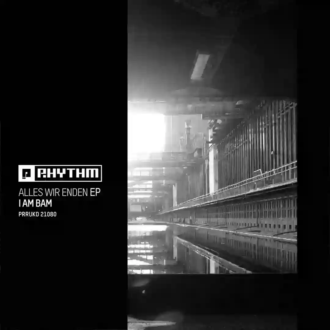 I Dont Know cover