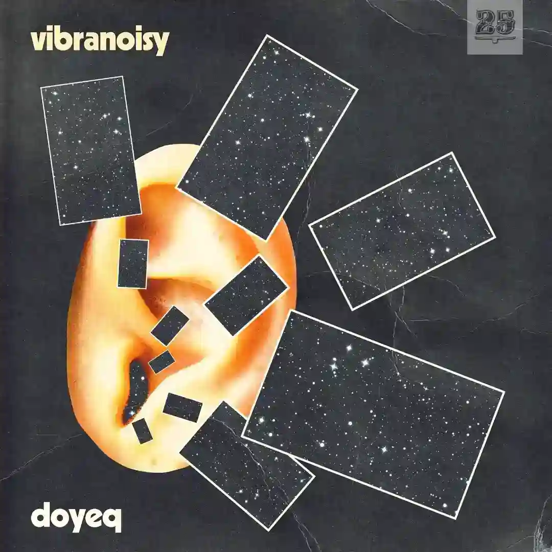Vibranoisy cover