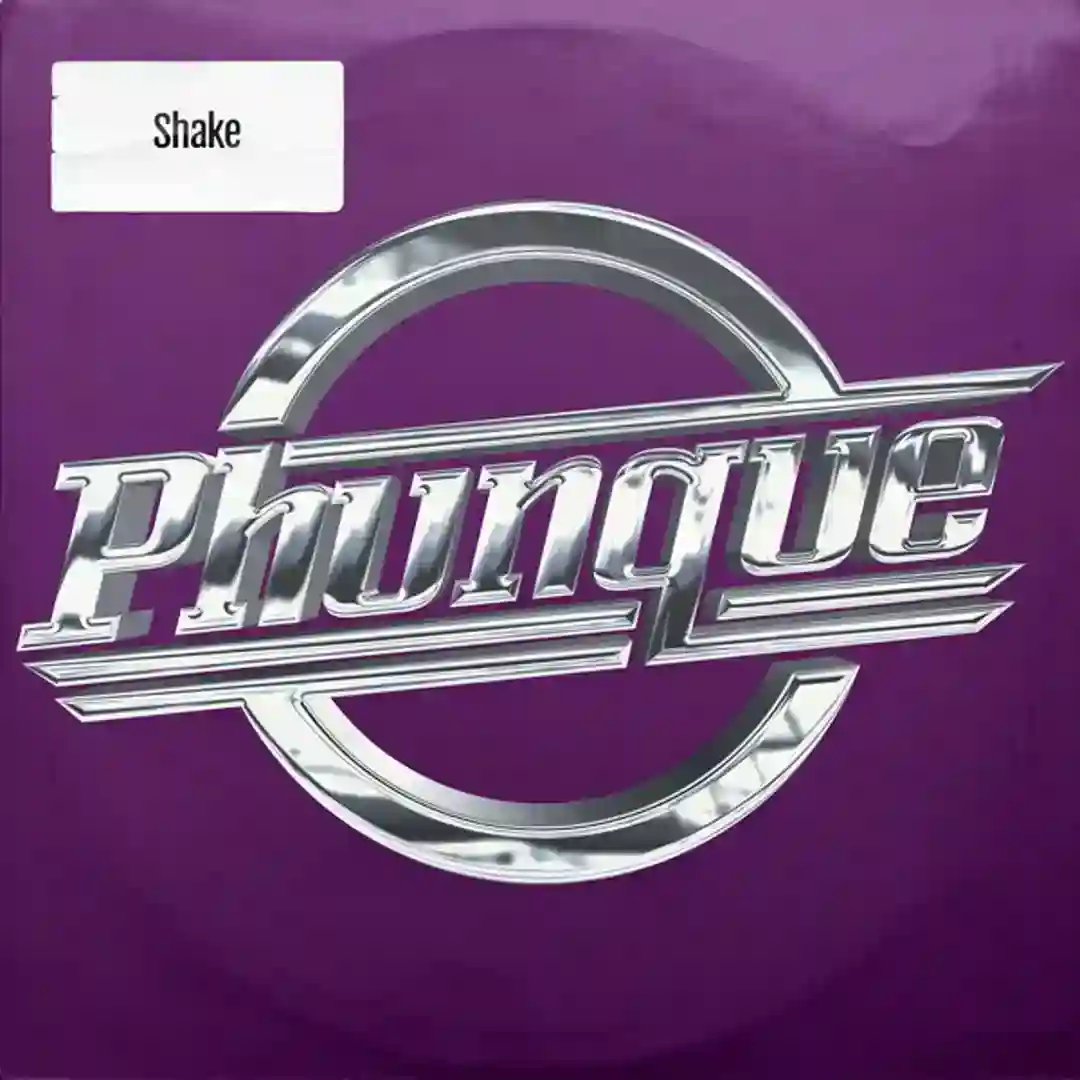 Shake (Original Mix) cover