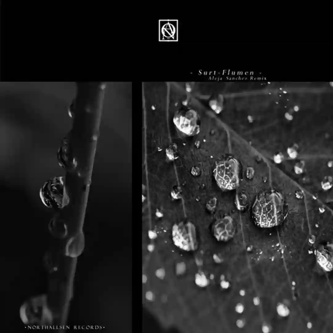 Nure (Original Mix) cover