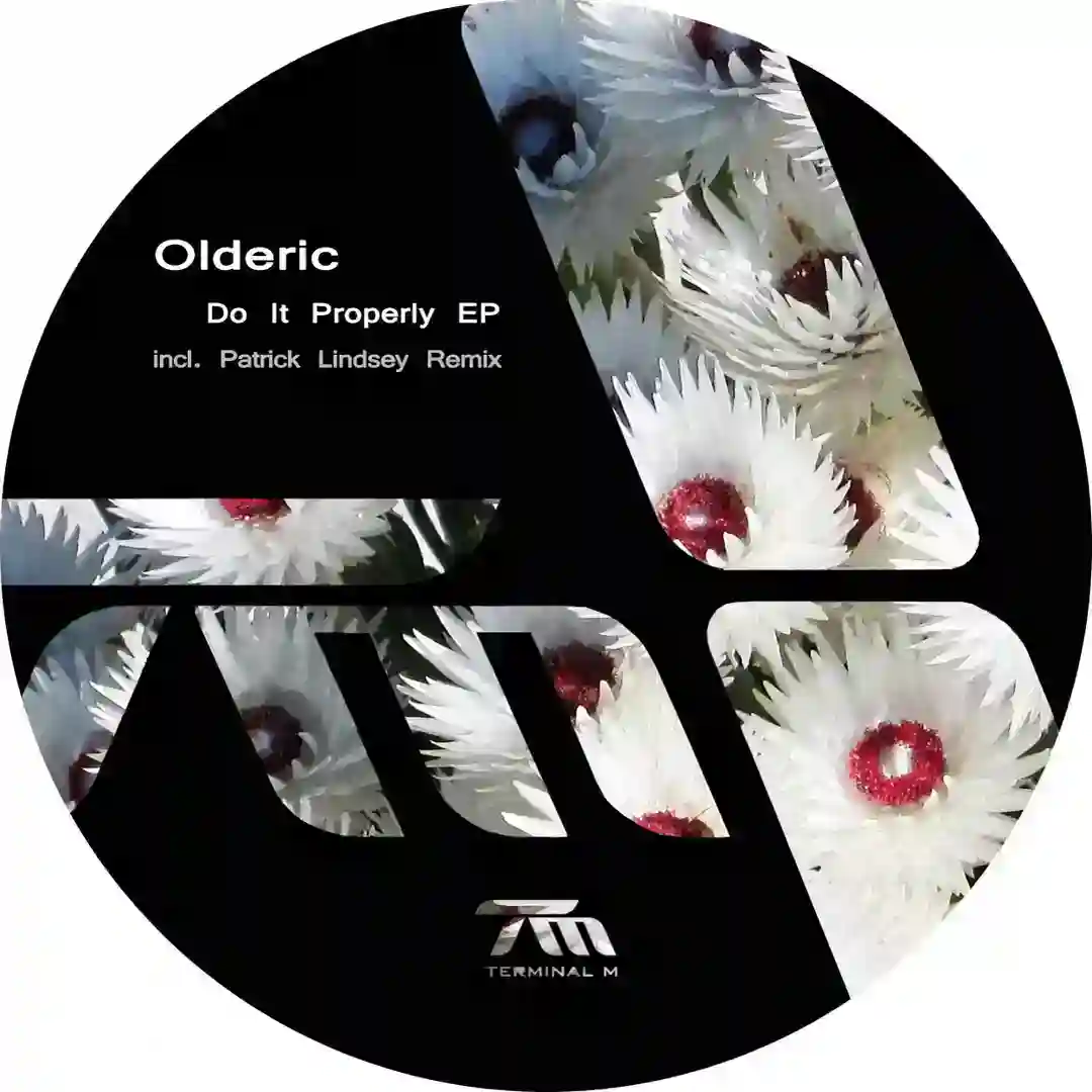 Do It Properly (Original Mix) cover