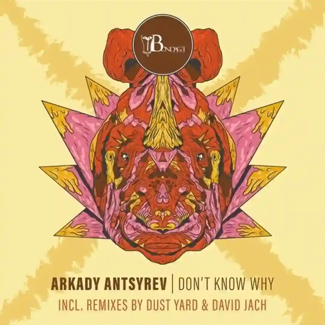 Don't Know Why cover