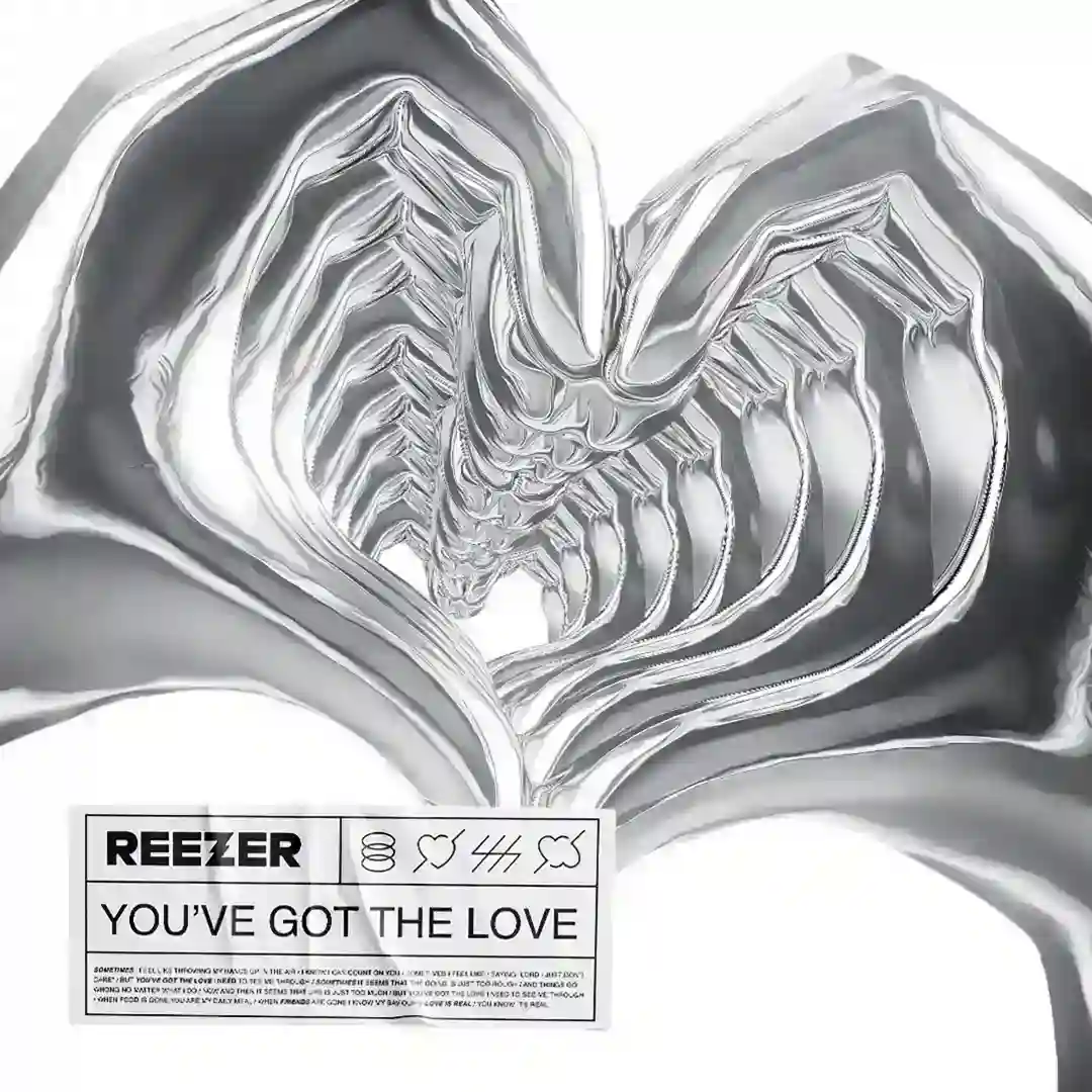 You've Got the Love (Original Mix) cover