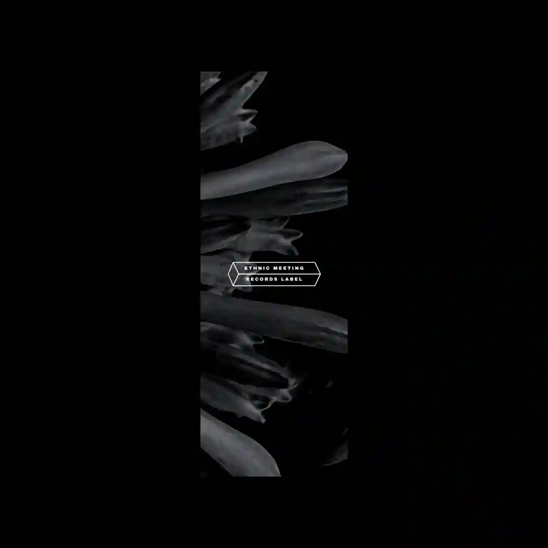 Collapse (Original Mix) cover