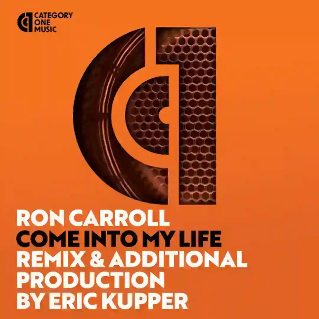 Come into My Life (Eric Kupper Radio Remix Edit) cover