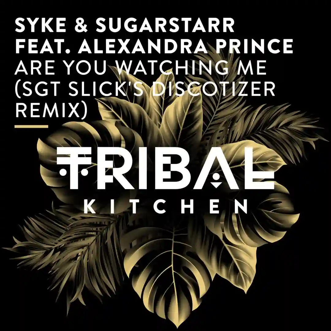 Are You Watching Me (Sgt Slick's Discotizer Remix) cover