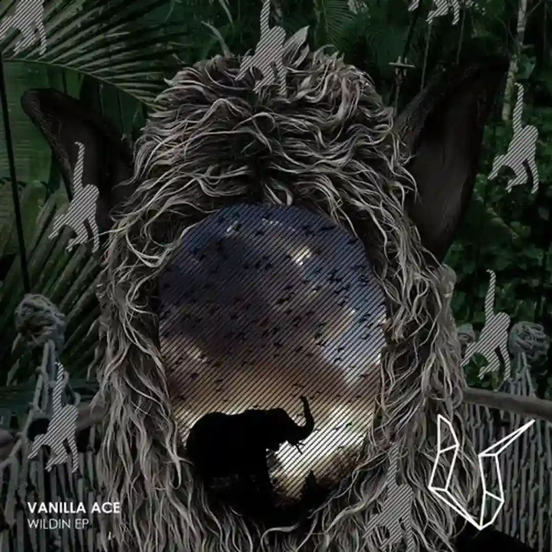 Feel The Vibe (Original Mix) cover