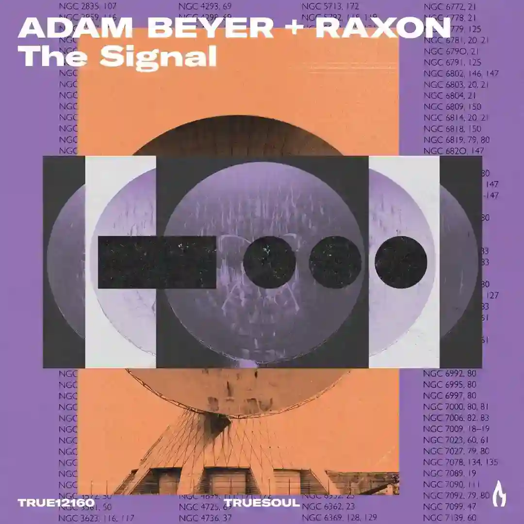 The Signal cover