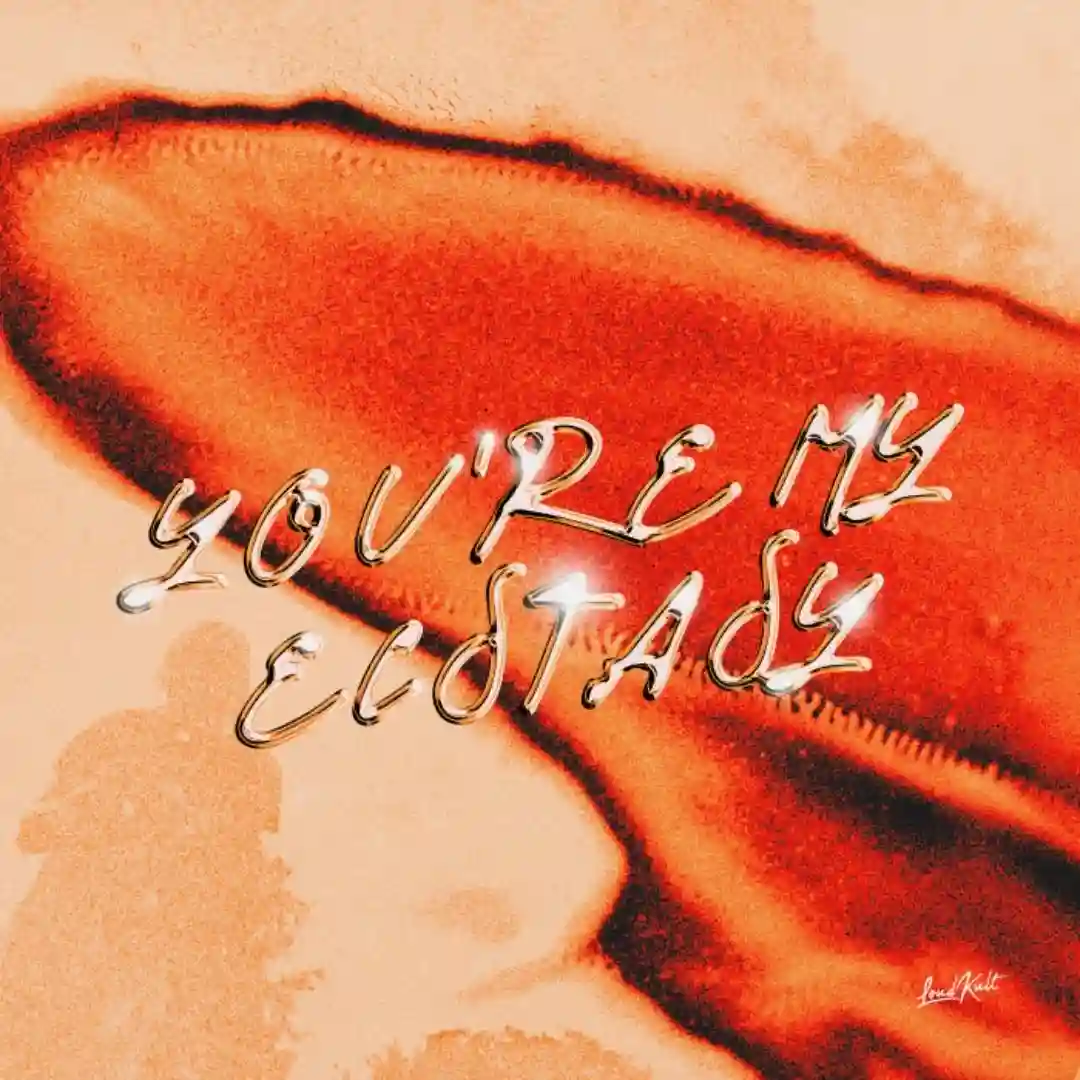 You're My Ecstasy cover