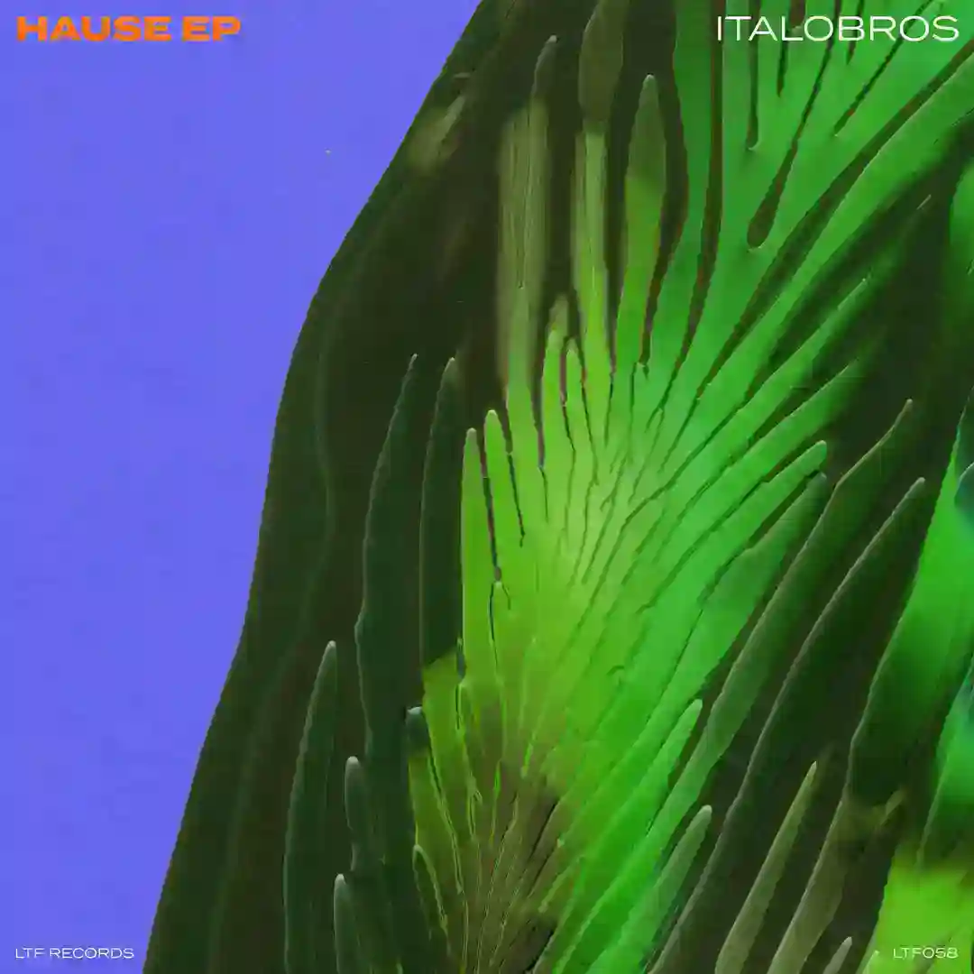 Hause (Original Mix) cover