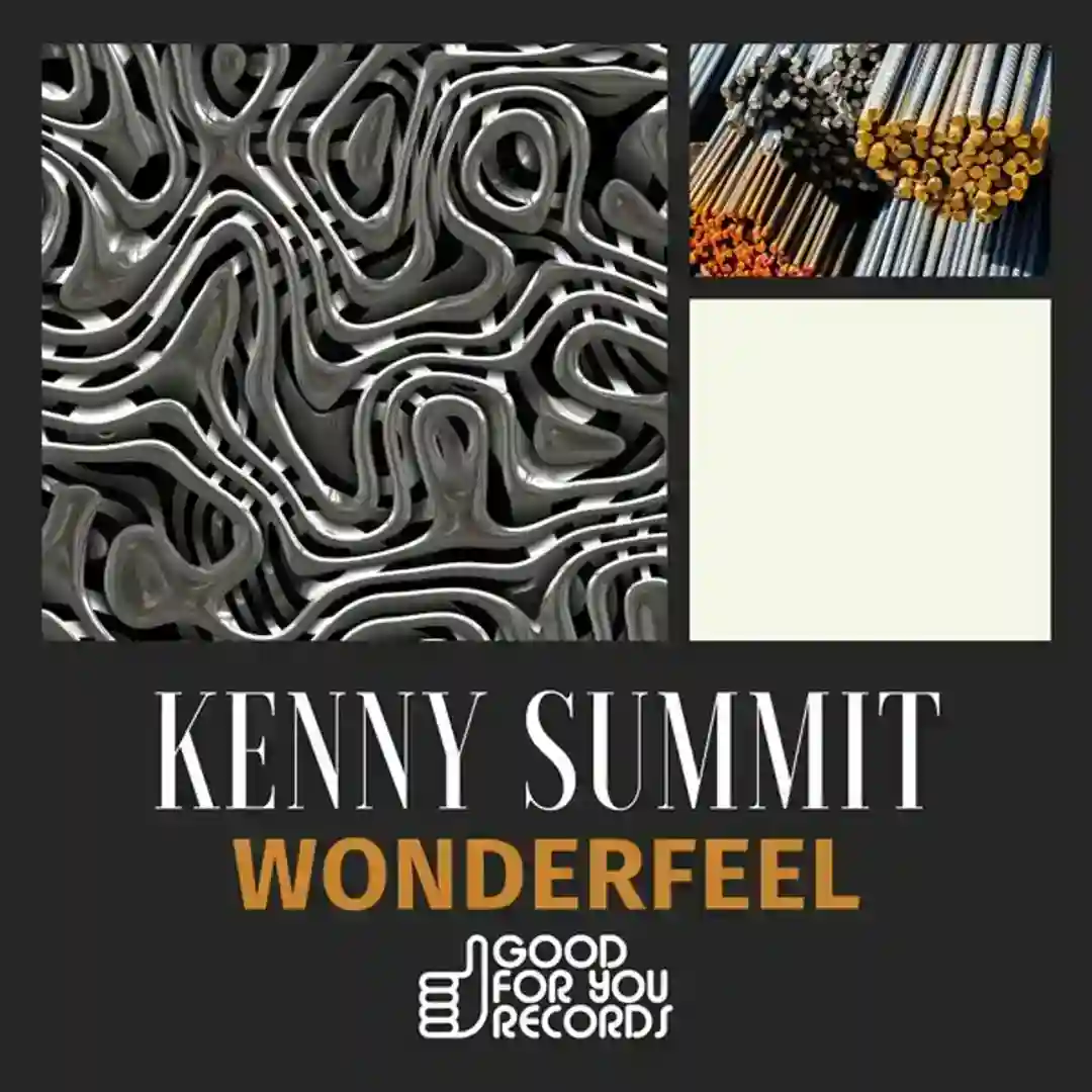 Wonderfeel cover