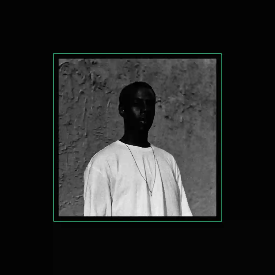 Gully cover
