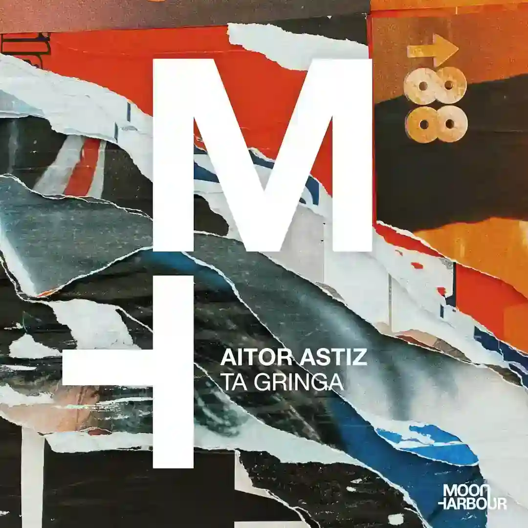 Ta Gringa (Original Mix) cover