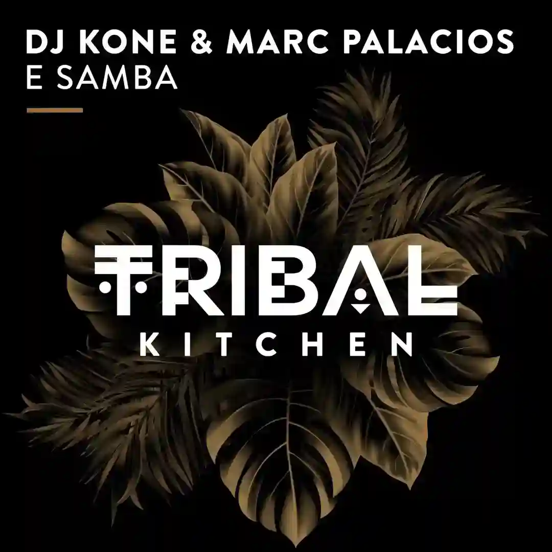 E Samba (Extended Mix) cover